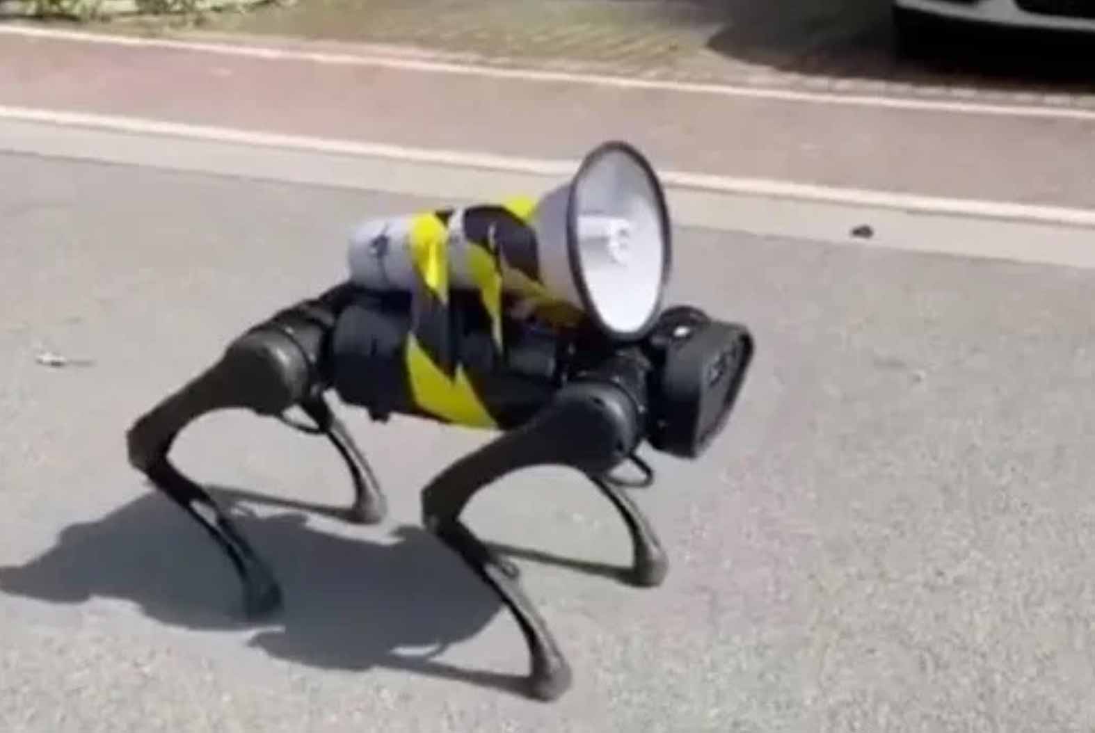 Cão robô na China (Foto: Reprodução/Twitter)