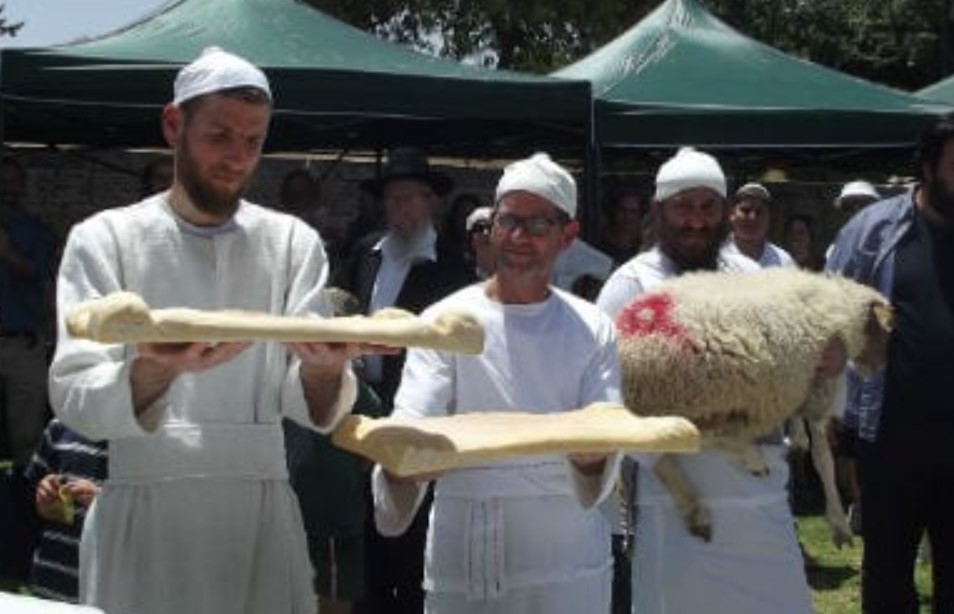 Rabinos preparando sacrifício